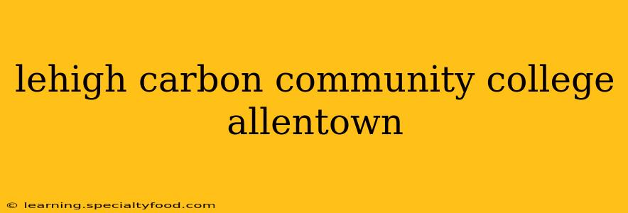 lehigh carbon community college allentown