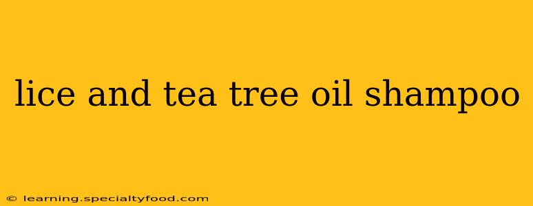 lice and tea tree oil shampoo