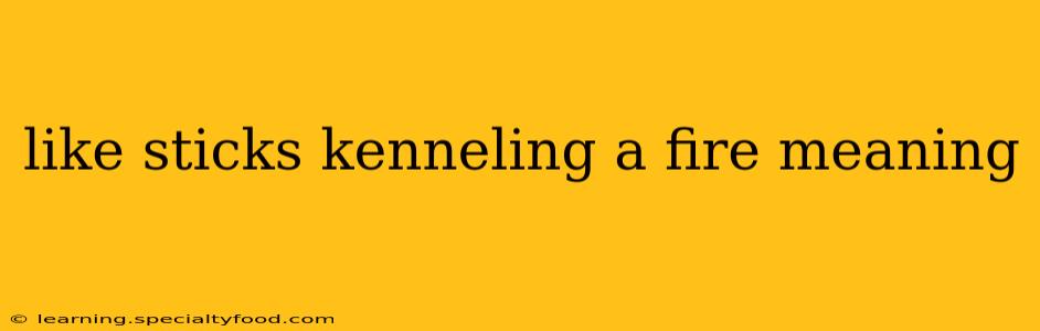 like sticks kenneling a fire meaning