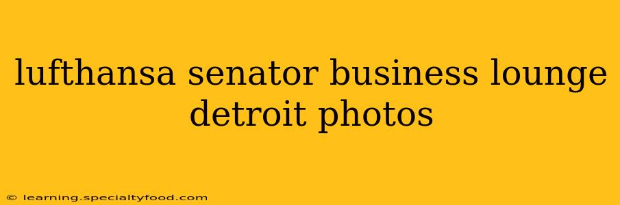 lufthansa senator business lounge detroit photos