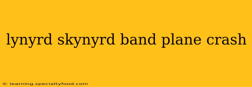 lynyrd skynyrd band plane crash