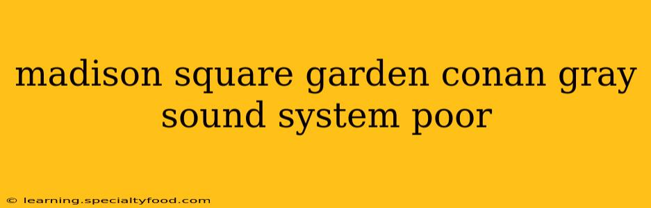 madison square garden conan gray sound system poor