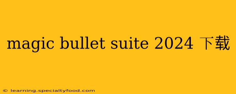 magic bullet suite 2024 下载