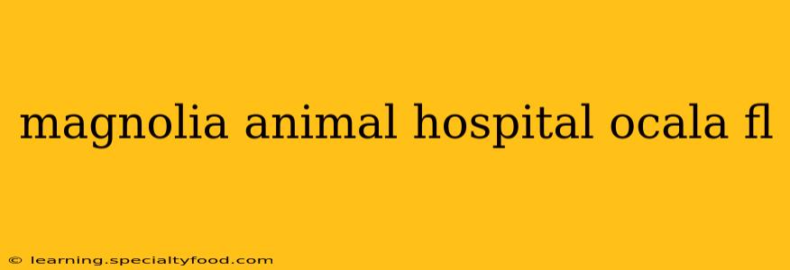 magnolia animal hospital ocala fl