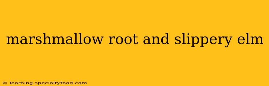 marshmallow root and slippery elm