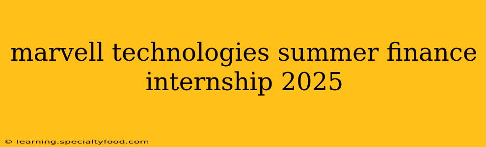 marvell technologies summer finance internship 2025