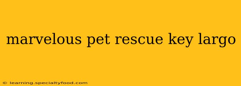 marvelous pet rescue key largo