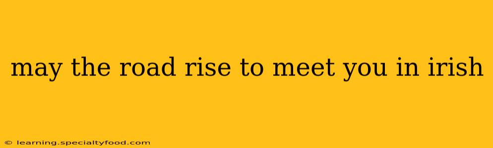 may the road rise to meet you in irish