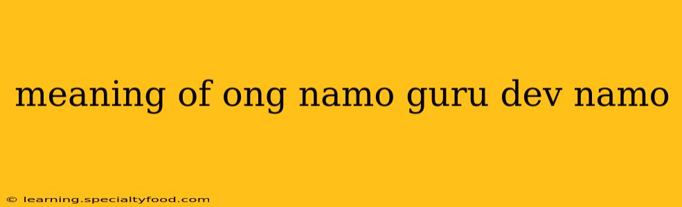 meaning of ong namo guru dev namo