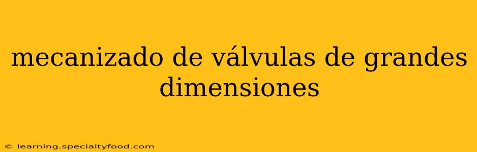 mecanizado de válvulas de grandes dimensiones