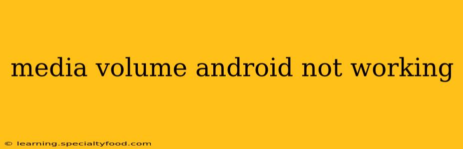 media volume android not working