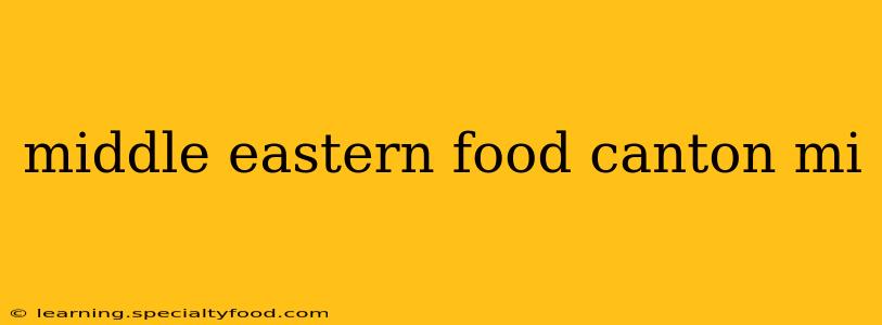 middle eastern food canton mi