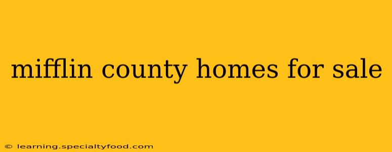 mifflin county homes for sale