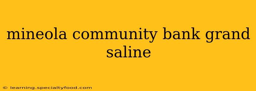 mineola community bank grand saline