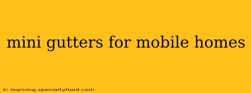 mini gutters for mobile homes