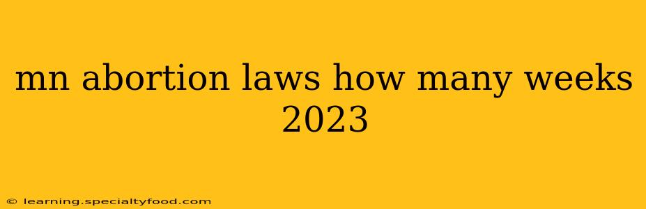 mn abortion laws how many weeks 2023
