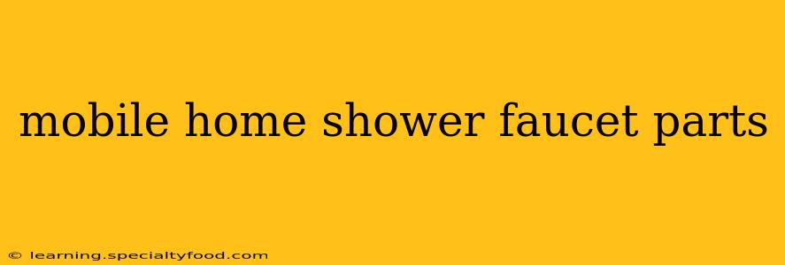 mobile home shower faucet parts