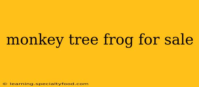 monkey tree frog for sale