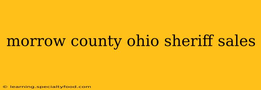 morrow county ohio sheriff sales
