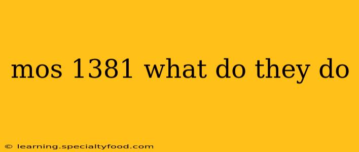 mos 1381 what do they do