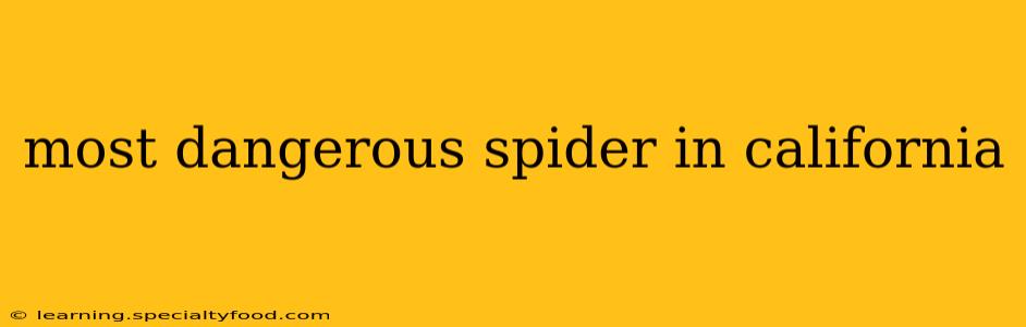 most dangerous spider in california