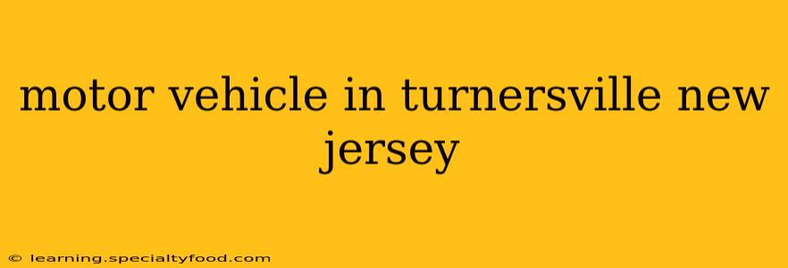 motor vehicle in turnersville new jersey