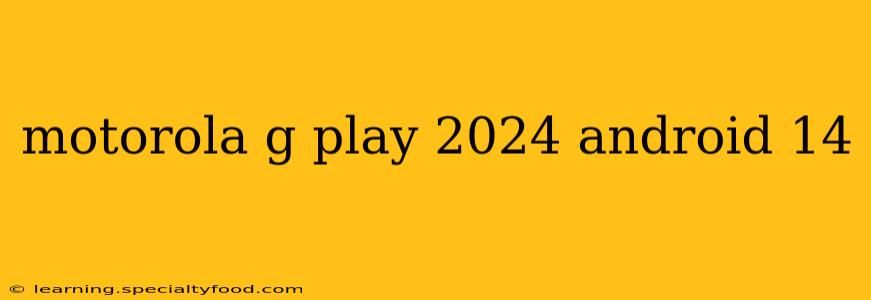 motorola g play 2024 android 14