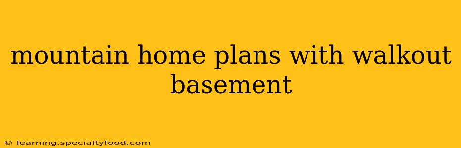 mountain home plans with walkout basement