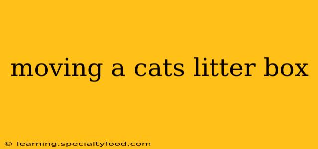 moving a cats litter box