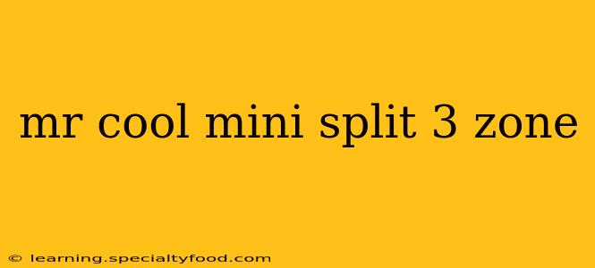 mr cool mini split 3 zone