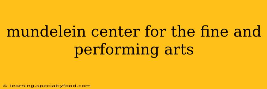 mundelein center for the fine and performing arts