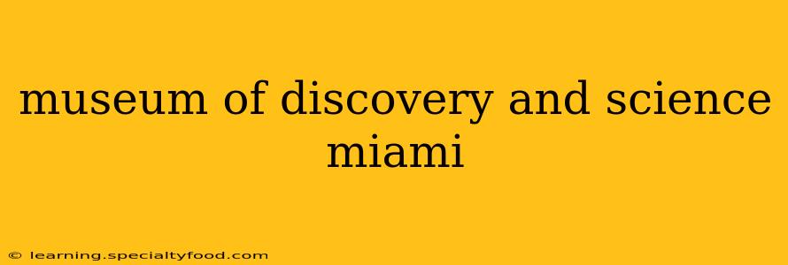 museum of discovery and science miami