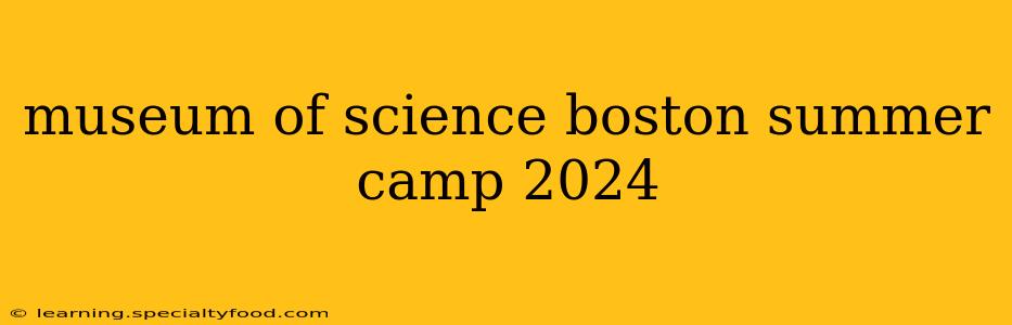 museum of science boston summer camp 2024