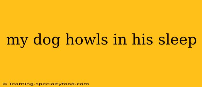 my dog howls in his sleep