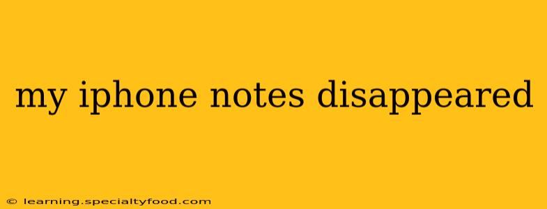 my iphone notes disappeared