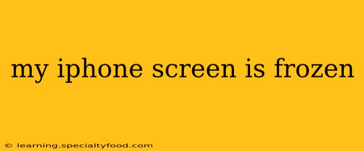 my iphone screen is frozen