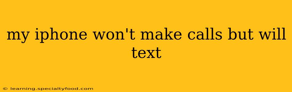 my iphone won't make calls but will text