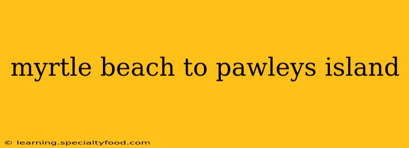 myrtle beach to pawleys island
