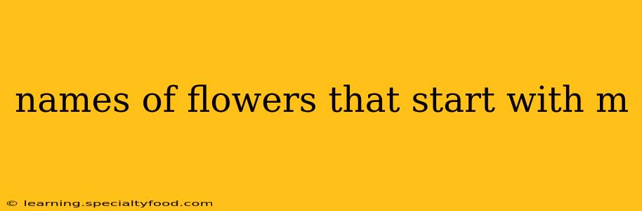 names of flowers that start with m