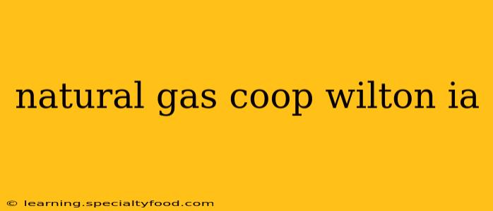 natural gas coop wilton ia