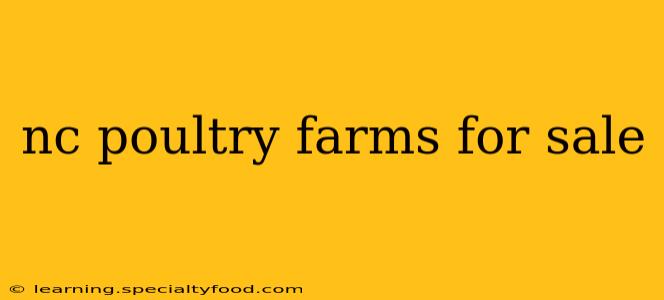 nc poultry farms for sale