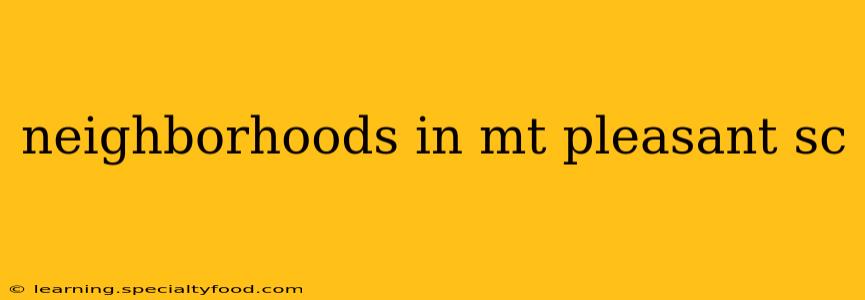 neighborhoods in mt pleasant sc