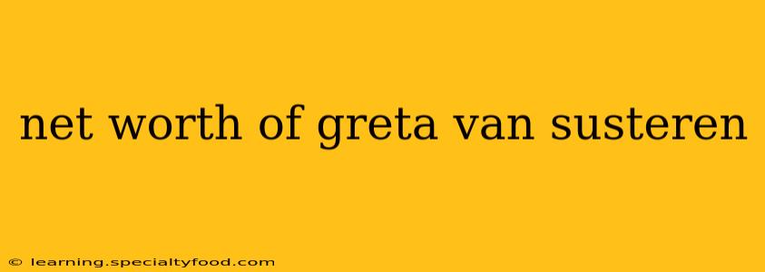 net worth of greta van susteren