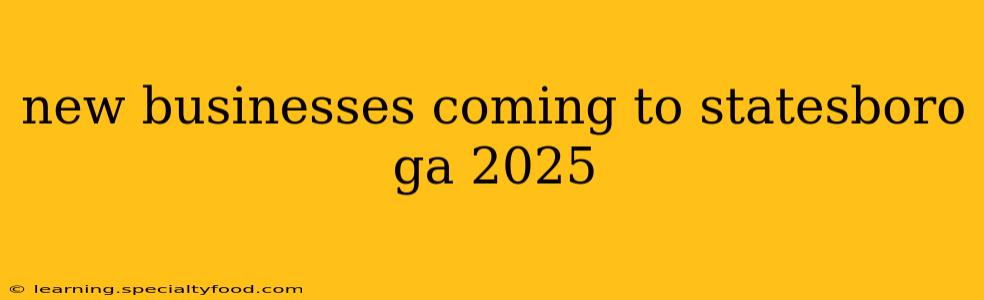 new businesses coming to statesboro ga 2025