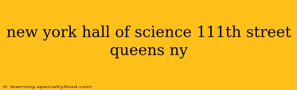 new york hall of science 111th street queens ny