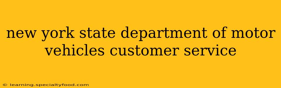 new york state department of motor vehicles customer service
