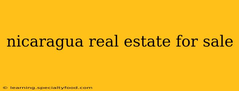 nicaragua real estate for sale