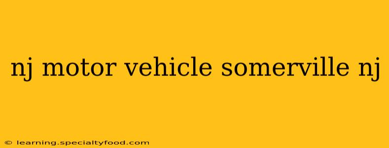 nj motor vehicle somerville nj