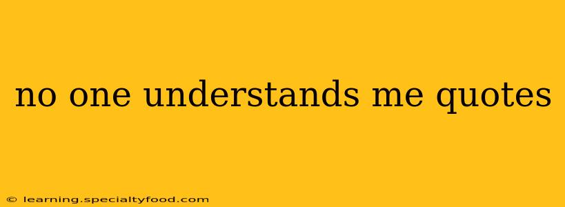 no one understands me quotes