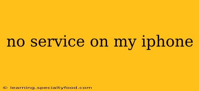 no service on my iphone